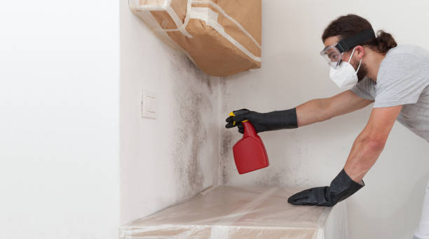 Professional Attic Mold Removal technician working in Midland Park, NJ