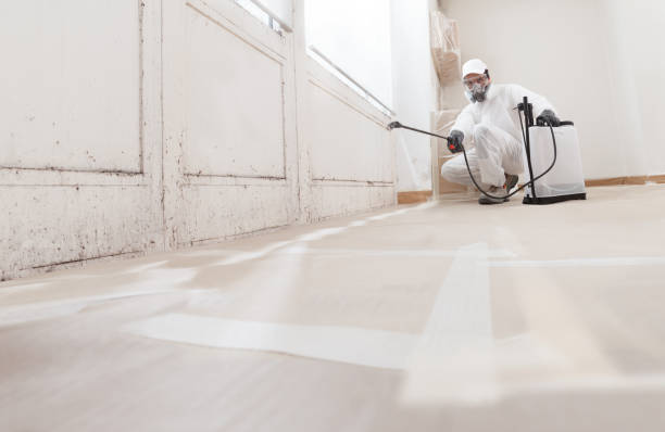 24/7 Emergency Attic Mold Removal experts in Midland Park, NJ